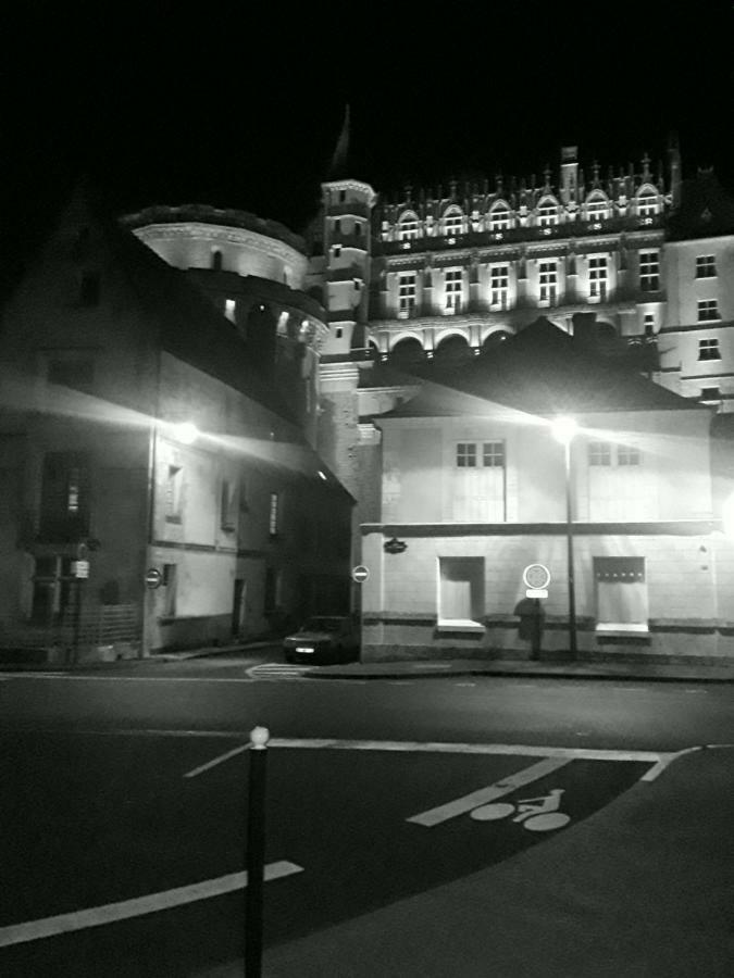 Hotel La Capitainerie Amboise Exteriér fotografie